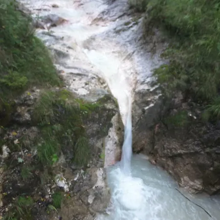 Haus Am Berg Schlafende Hexe Διαμέρισμα *