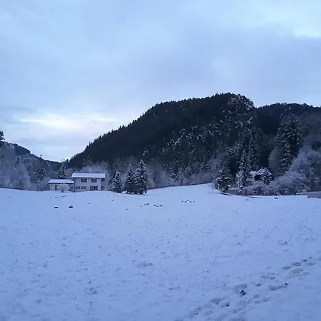 Haus Am Berg Schlafende Hexe Διαμέρισμα *